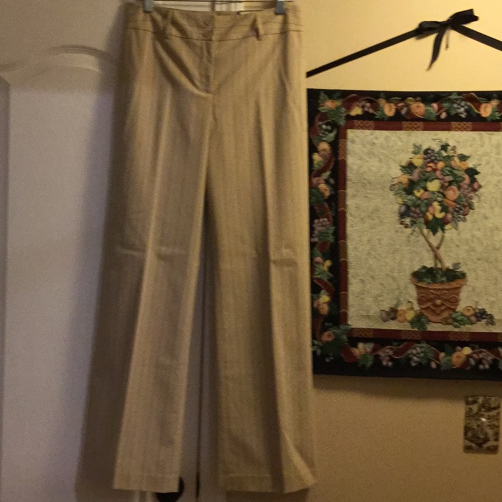 Ann Taylor Margo lined pants. Size 6. New with tag